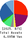DATA HORIZON CO.,LTD. Balance Sheet 2025年Mar期 DATA HORIZON CO.,LTD. Balance Sheet 2025年3月期
