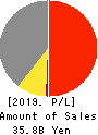 The Global Ltd. Profit and Loss Account 2019年6月期