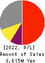 WDB coco CO.,LTD. Profit and Loss Account 2022年Mar期 WDB coco CO.,LTD. Profit and Loss Account 2022年3月期
