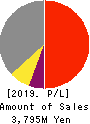 DLE Inc. Profit and Loss Account 2019年6月期