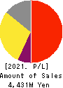 Advanced Media,Inc. Profit and Loss Account 2021年3月期