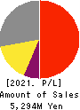 ESTIC CORPORATION Profit and Loss Account 2021年Mar期 ESTIC CORPORATION Profit and Loss Account 2021年3月期
