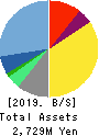 Datasection Inc. Balance Sheet 2019年Mar期 Datasection Inc. Balance Sheet 2019年3月期