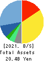 Saison Technology Co.,Ltd. Balance Sheet 2021年3月期
