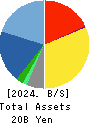 Japan System Techniques Co.,Ltd. Balance Sheet 2024年Mar期 Japan System Techniques Co.,Ltd. Balance Sheet 2024年3月期