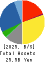 DN HOLDINGS CO.,LTD. Balance Sheet 2025年Jun期 DN HOLDINGS CO.,LTD. Balance Sheet 2025年6月期