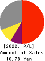 IPS,Inc. Profit and Loss Account 2022年3月期