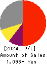 SecuAvail Inc. Profit and Loss Account 2024年Mar期 SecuAvail Inc. Profit and Loss Account 2024年3月期