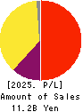 TOYO SECURITIES CO.,LTD. Profit and Loss Account 2025年Mar期 TOYO SECURITIES CO.,LTD. Profit and Loss Account 2025年3月期