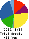 ASTI CORPORATION Balance Sheet 2025年Mar期 ASTI CORPORATION Balance Sheet 2025年3月期