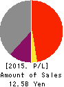 NJ Holdings Inc. Profit and Loss Account 2015年Mar期 NJ Holdings Inc. Profit and Loss Account 2015年3月期