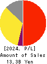 JADE GROUP, Inc. Profit and Loss Account 2024年2月期