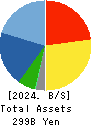MITANI CORPORATION Balance Sheet 2024年3月期