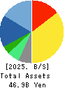 INTAGE HOLDINGS Inc. Balance Sheet 2025年Jun期 INTAGE HOLDINGS Inc. Balance Sheet 2025年6月期