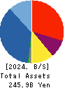 KI-STAR REAL ESTATE CO.,LTD Balance Sheet 2024年3月期