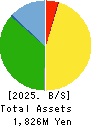 RISE Inc. Balance Sheet 2025年3月期
