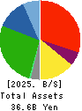 SANIX HOLDINGS INCORPORATED Balance Sheet 2025年Mar期 SANIX HOLDINGS INCORPORATED Balance Sheet 2025年3月期