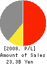 SILVER OX Inc. Profit and Loss Account 2008年3月期