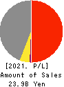 OTAKE CORPORATION Profit and Loss Account 2021年5月期