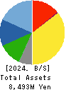 BUFFALO CO.,LTD. Balance Sheet 2024年Mar期 BUFFALO CO.,LTD. Balance Sheet 2024年3月期