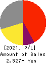 RUDEN HOLDINGS CO.,Ltd. Profit and Loss Account 2021年12月期