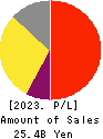 Premium Group Co.,Ltd. Profit and Loss Account 2023年3月期