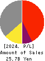 TOREX SEMICONDUCTOR LTD. Profit and Loss Account 2024年3月期