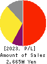i Cubed Systems, Inc. Profit and Loss Account 2023年Jun期 i Cubed Systems, Inc. Profit and Loss Account 2023年6月期
