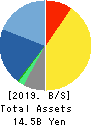Computer Institute of Japan,Ltd. Balance Sheet 2019年Jun期 Computer Institute of Japan,Ltd. Balance Sheet 2019年6月期