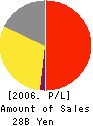 CHIMNEY CO.,LTD. Profit and Loss Account 2006年12月期