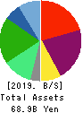 MEDICAL SYSTEM NETWORK Co.,Ltd. Balance Sheet 2019年Mar期 MEDICAL SYSTEM NETWORK Co.,Ltd. Balance Sheet 2019年3月期
