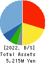 StemCell Institute Inc. Balance Sheet 2022年3月期