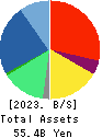 Net Protections Holdings,Inc. Balance Sheet 2023年Mar期 Net Protections Holdings,Inc. Balance Sheet 2023年3月期