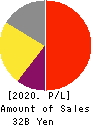 Akatsuki Inc. Profit and Loss Account 2020年3月期