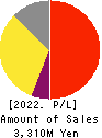 AI inside Inc. Profit and Loss Account 2022年3月期