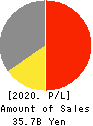 Adventure,Inc. Profit and Loss Account 2020年6月期