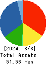 FDK CORPORATION Balance Sheet 2024年3月期