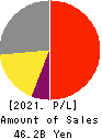 Ai Holdings Corporation Profit and Loss Account 2021年6月期