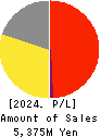 Finatext Holdings Ltd. Profit and Loss Account 2024年3月期
