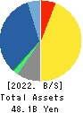 Gamecard-Joyco Holdings,Inc. Balance Sheet 2022年3月期