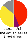 Tameny Inc. Profit and Loss Account 2025年Mar期 Tameny Inc. Profit and Loss Account 2025年3月期