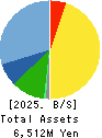 Japan Tissue Engineering Co., Ltd. Balance Sheet 2025年3月期