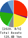 Avex Inc. Balance Sheet 2020年Mar期 Avex Inc. Balance Sheet 2020年3月期