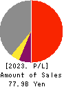 NSD CO., LTD. Profit and Loss Account 2023年3月期