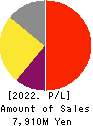 Plus Alpha Consulting Co.,LTD. Profit and Loss Account 2022年9月期