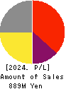 Softfront Holdings Profit and Loss Account 2024年Mar期 Softfront Holdings Profit and Loss Account 2024年3月期