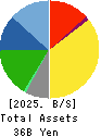 FALCO HOLDINGS Co.,Ltd. Balance Sheet 2025年Mar期 FALCO HOLDINGS Co.,Ltd. Balance Sheet 2025年3月期