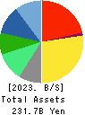 AIN HOLDINGS INC. Balance Sheet 2023年Apr期 AIN HOLDINGS INC. Balance Sheet 2023年4月期