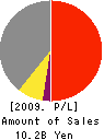 TOKKI CORPORATION Profit and Loss Account 2009年6月期