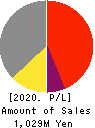 Scigineer Inc. Profit and Loss Account 2020年Jun期 Scigineer Inc. Profit and Loss Account 2020年6月期